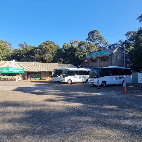 a group of palm trees on the side of a road