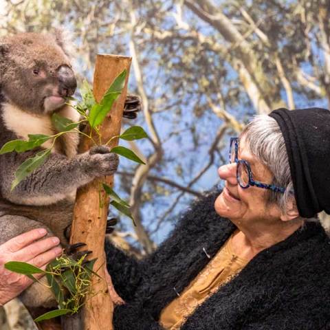 a person holding an animal