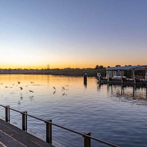 a wooden pier next to a body of water
