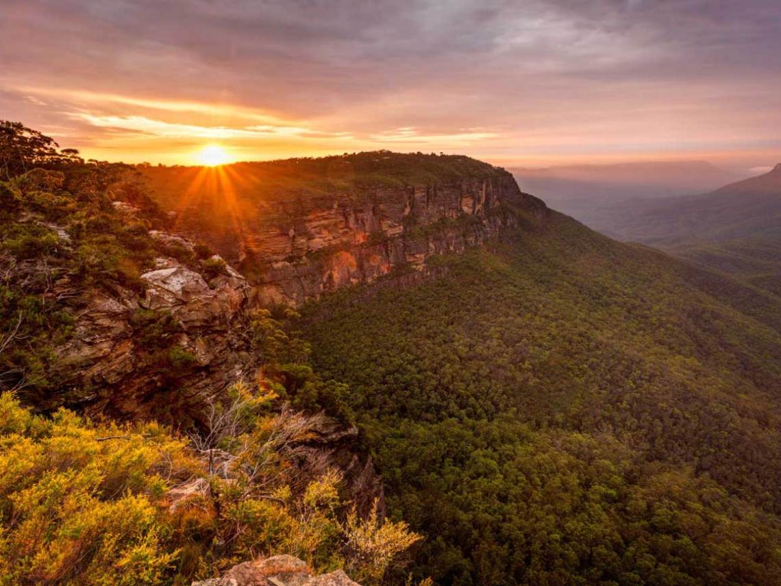 a view of a lush green hillside