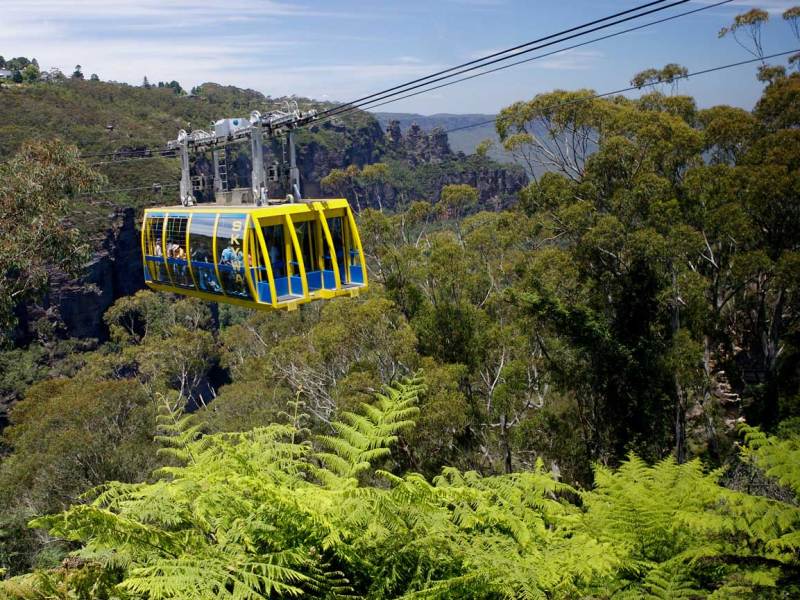 a train traveling down train tracks near a forest